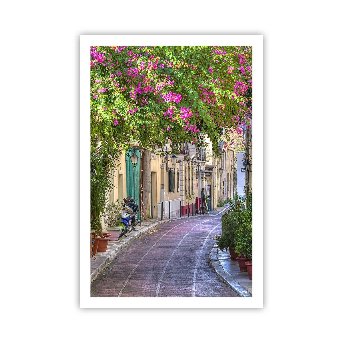 Affiche - Poster - Allée fleurie - 61x91 cm