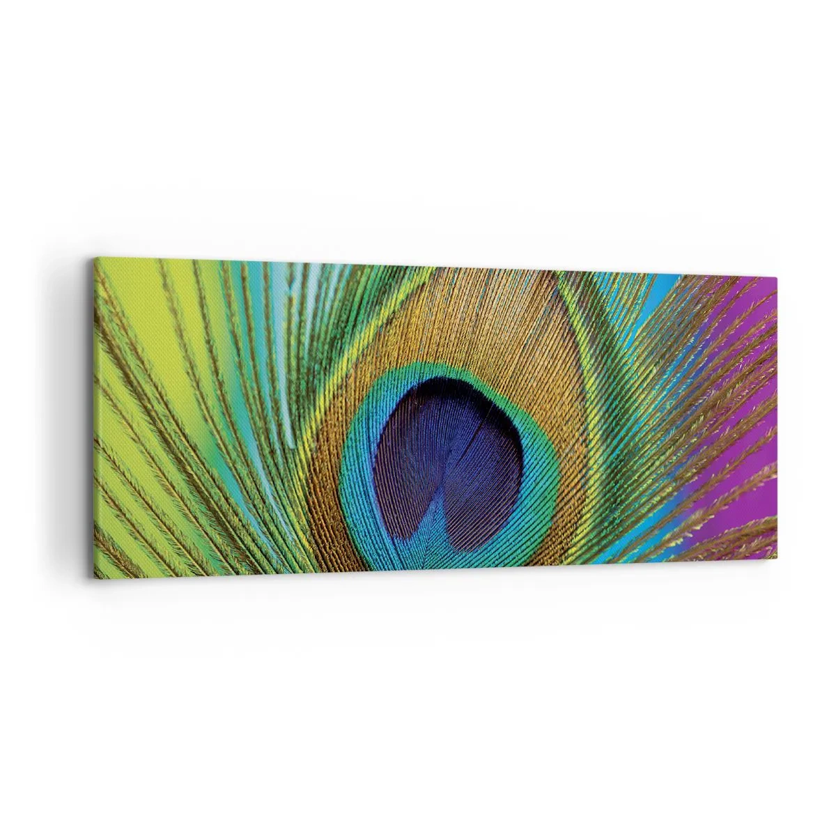 Impression sur toile - Image sur toile - Gros plan d'une plume de paon aux couleurs vives - 120x50cm - Les yeux dans les yeux - Décoration murale moderne pour le salon et la chambre ARTTOR