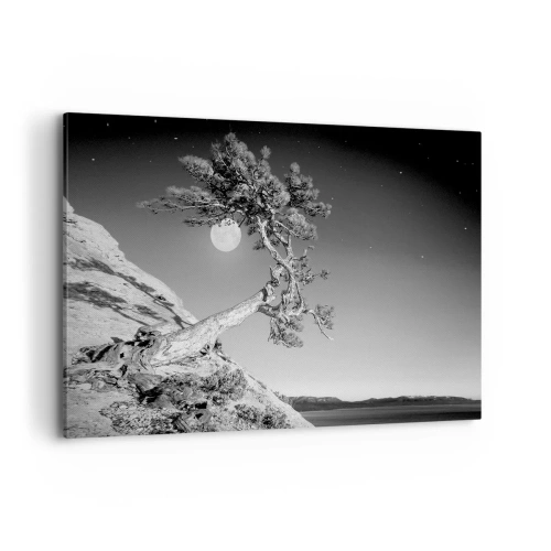 Impression sur toile - Image sur toile - Arbre noir et blanc sur une falaise avec la lune en arrière-plan - 120x80cm - Un combattant vainqueur - Décoration murale moderne pour le salon et la chambre ARTTOR