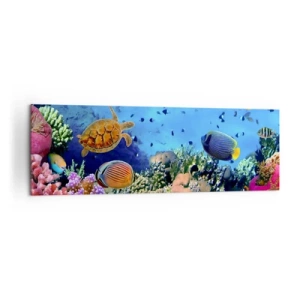 Impression sur toile - Image sur toile - Récif corallien avec des poissons colorés et une tortue de mer - 160x50cm - Et que sait-on de la vie… - Décoration murale moderne pour le salon et la chambre ARTTOR