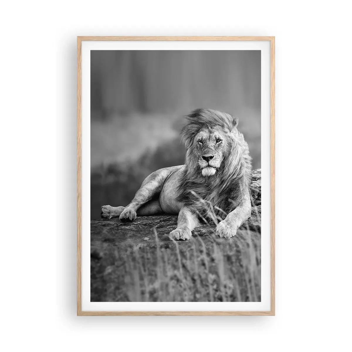 Affiche dans un chêne clair - Poster - Sieste royale - 70x100 cm