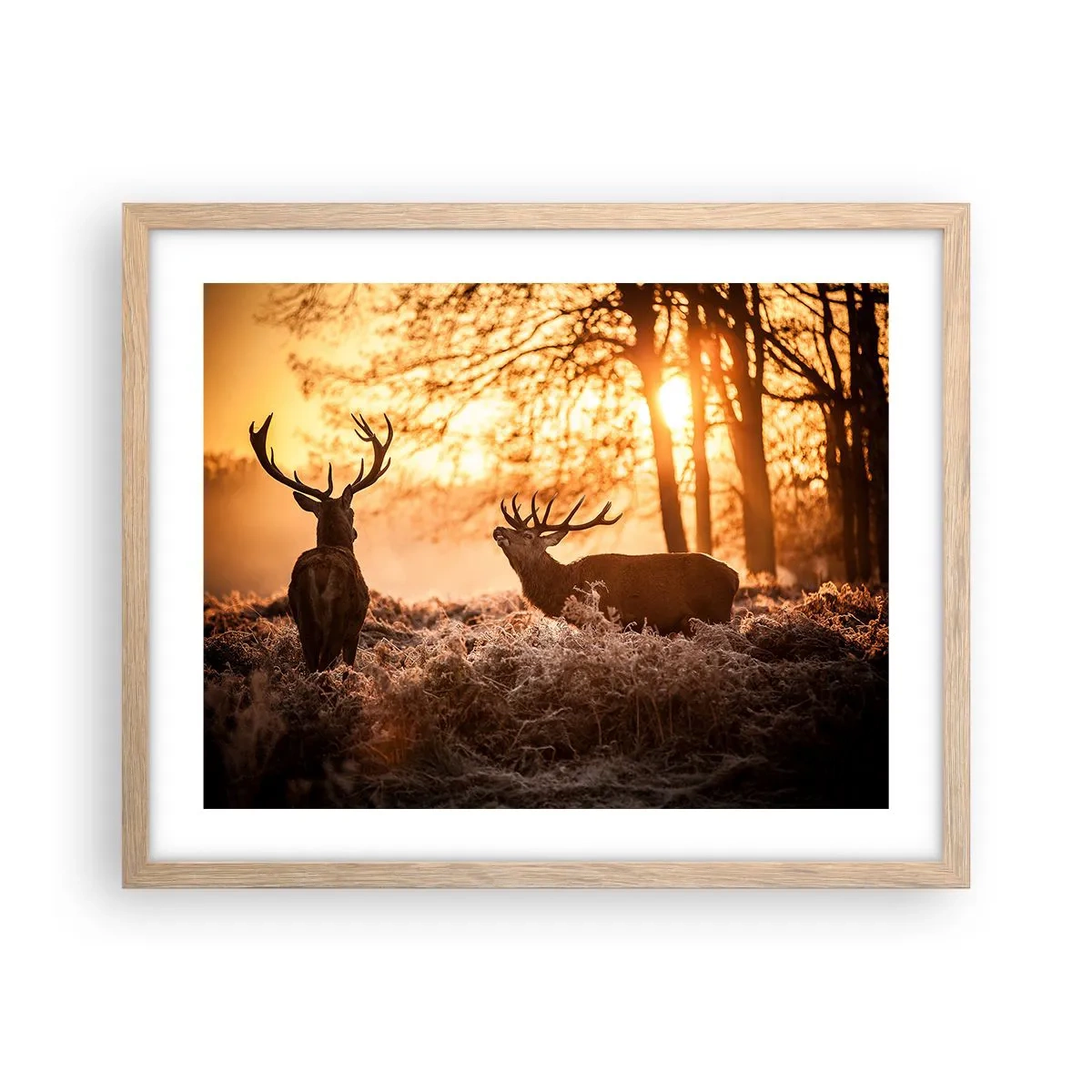 Affiche dans un chêne clair - Poster - Le rêve d'un chasseur - 50x40 cm