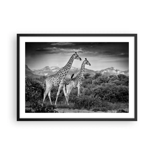 Affiche dans un cadre noir - Poster - Silhouettes noires et blanches de deux girafes dans la savane - 70x50cm - Hautes sphères en Afrique - Décoration murale moderne pour le salon et la chambre ARTTOR
