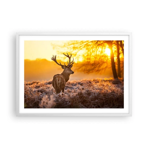 Affiche dans un cadre blanc - Poster - Roi de la forêt automnal - 70x50 cm