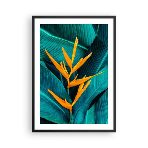 Affiche dans un cadre noir - Poster - Une fleur exotique sur fond de feuilles tropicales vertes. - 50x70cm - Fleur d'Eden - Décoration murale moderne pour le salon et la chambre ARTTOR
