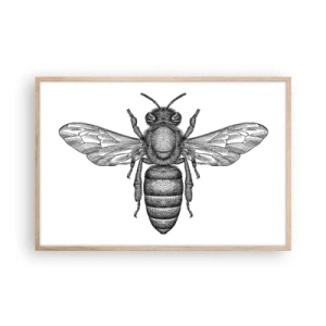 Affiche dans un chêne clair - Poster - Portrait d'insecte - 91x61 cm