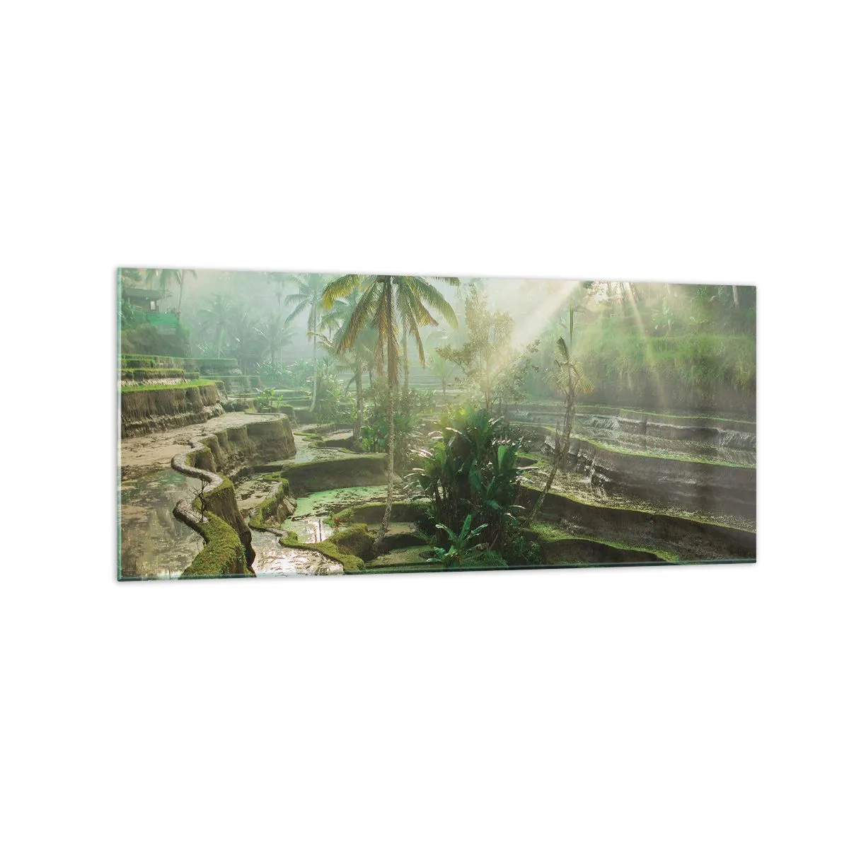 Impression sur verre - Image sur verre - Rizières en terrasses avec palmiers sous les rayons du soleil - 120x50cm - Grandir au soleil - Décoration murale moderne pour le salon et la chambre ARTTOR