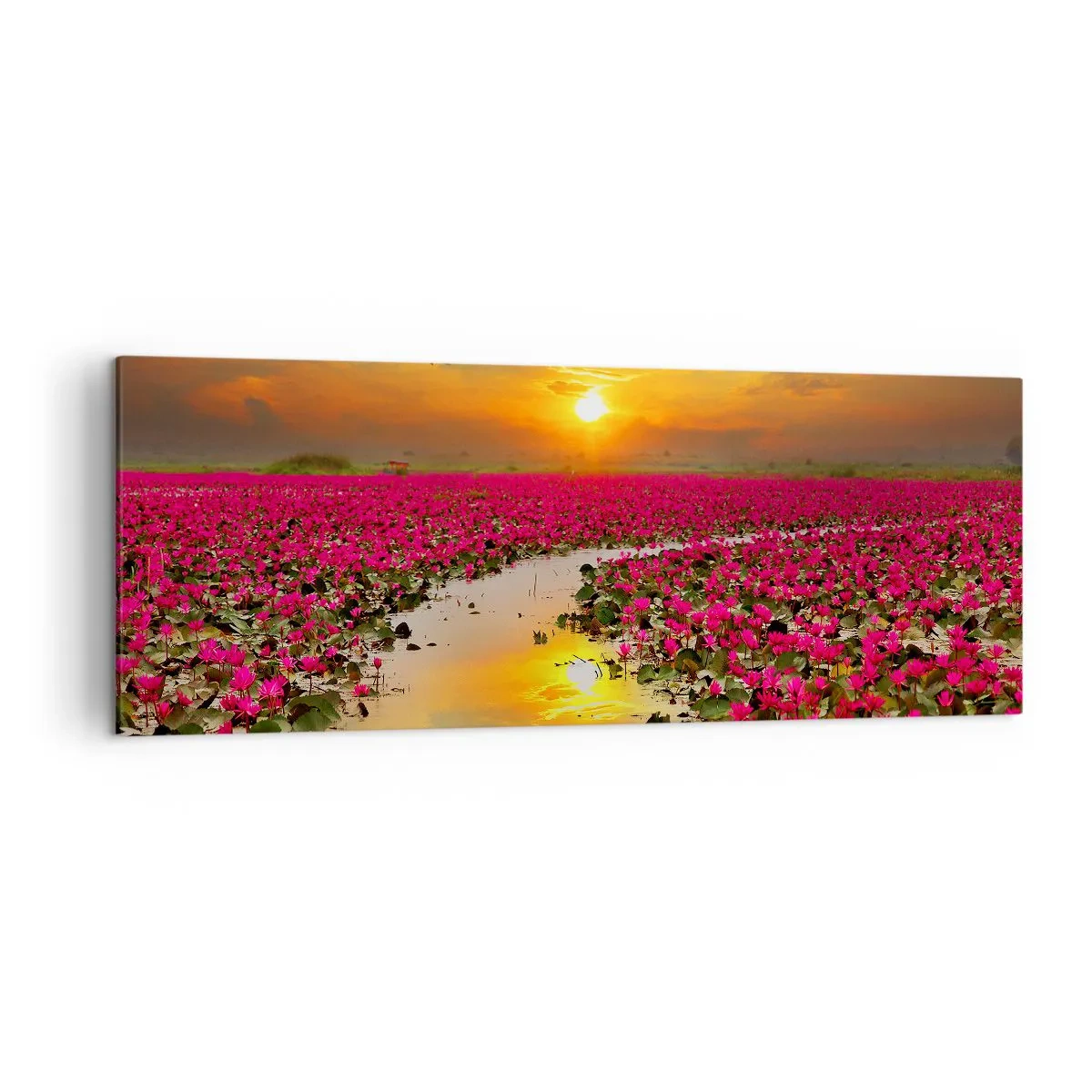 Impression sur toile - Image sur toile - Un champ de nénuphars roses au coucher du soleil - 140x50cm - La vie secrète du lac - Décoration murale moderne pour le salon et la chambre ARTTOR