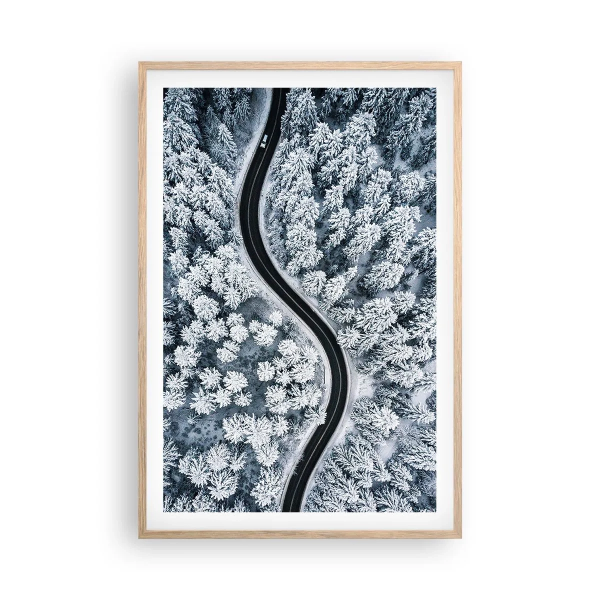 Affiche dans un chêne clair - Poster - À travers une forêt d'hiver - 61x91 cm