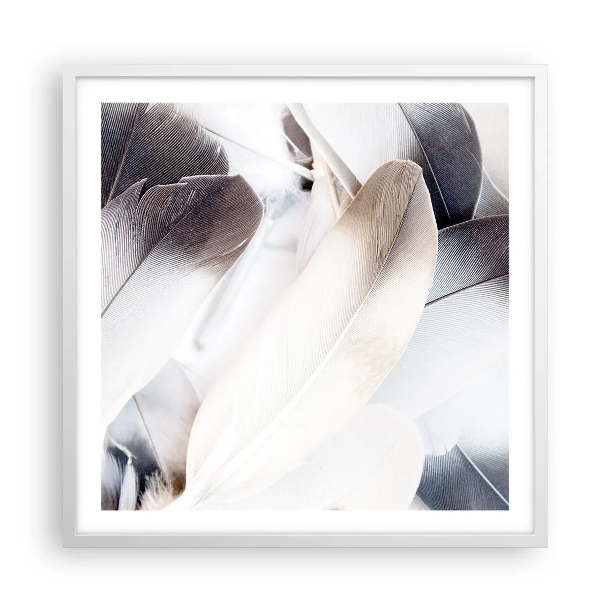 Affiche dans un cadre blanc - Poster - Presque angélique - 60x60 cm