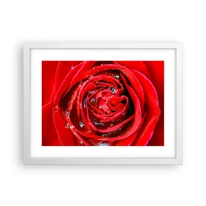Affiche dans un cadre blanc - Poster - Dans les gouttes de rosée - 40x30 cm