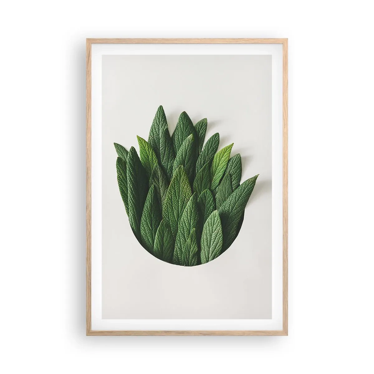 Affiche dans un chêne clair - Poster - Curiosité sans retenue - 61x91 cm