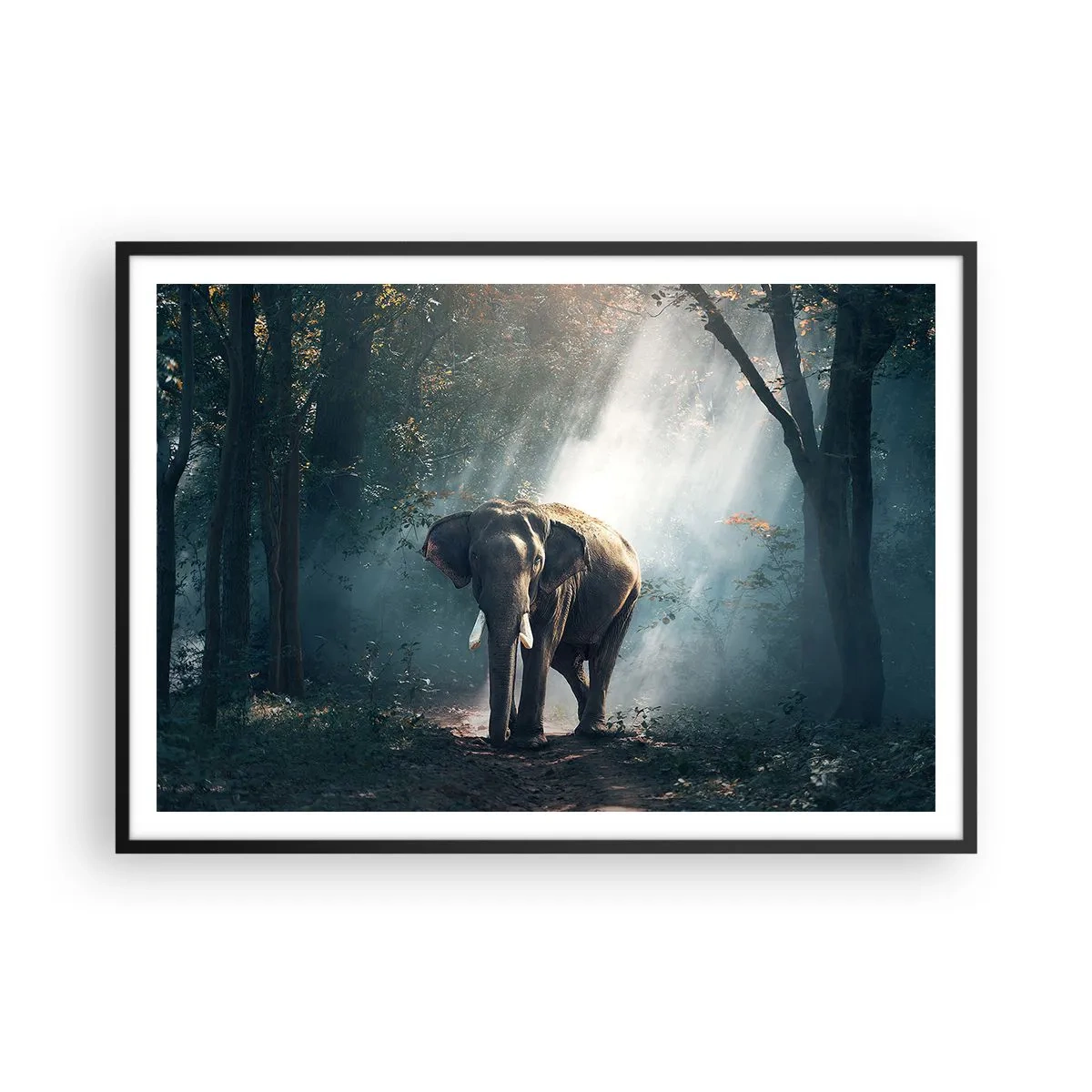 Affiche dans un cadre noir - Poster - Éléphant dans la lumière de la forêt - 100x70cm - Une balade tranquille - Décoration murale moderne pour le salon et la chambre ARTTOR