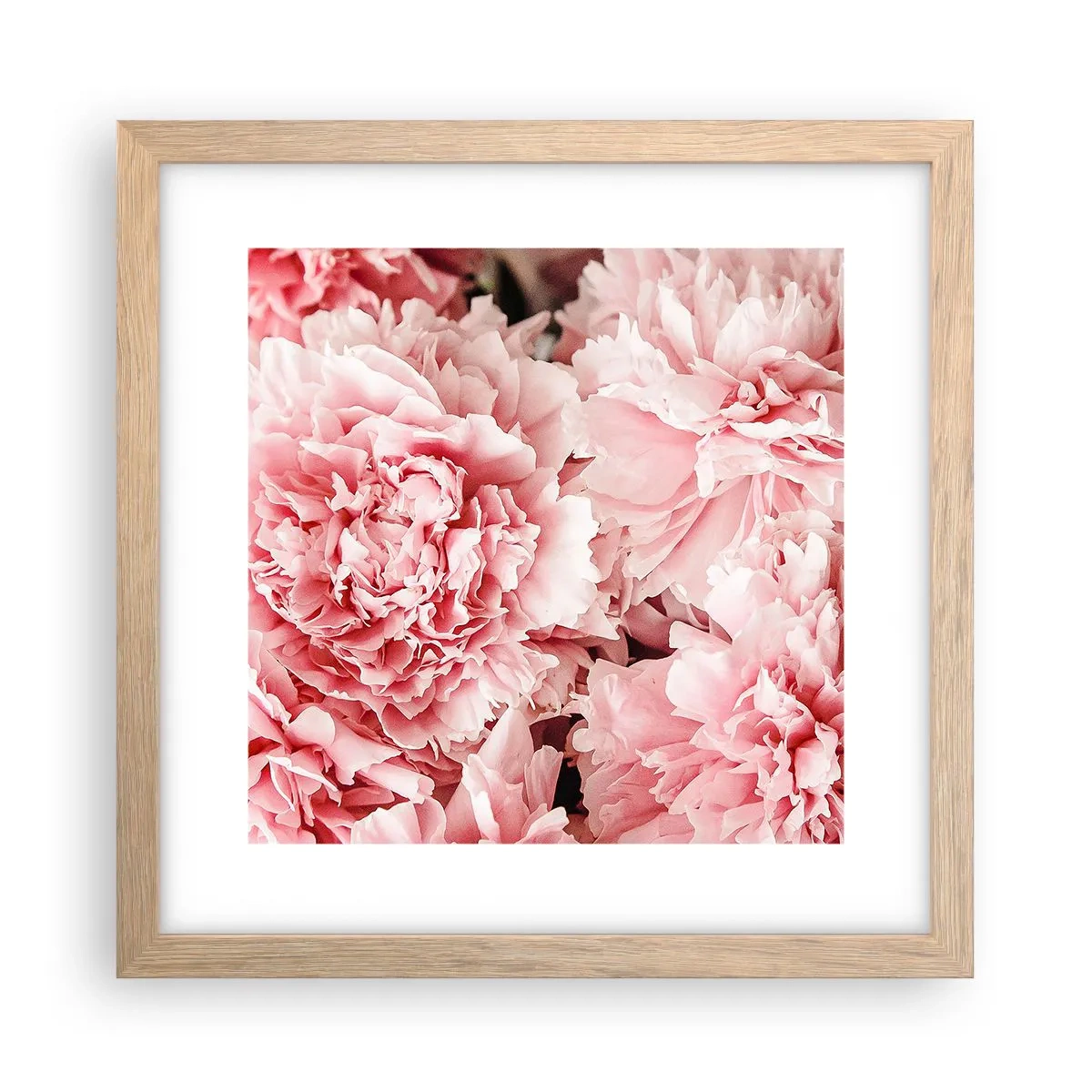 Affiche dans un chêne clair - Poster - Rêve rose - 30x30 cm