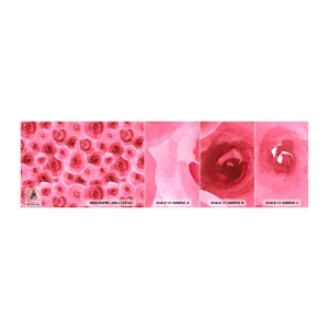 Échantillon de Papier Peint Autocollant Deluxe Sticker - Roses en-haut et en-bas - Fleurs, Beauté, le romantisme - 100x30 cm