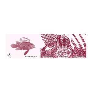 Échantillon de Papier Peint Autocollant Deluxe Sticker - Un habitant des eaux exotiques - Poisson, Poisson-lion, Tropical - 100x30 cm