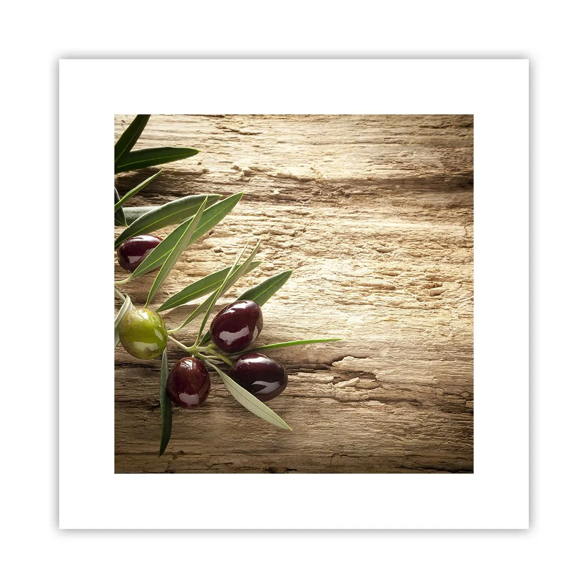 Affiche - Poster - Directement de la nature - 30x30 cm