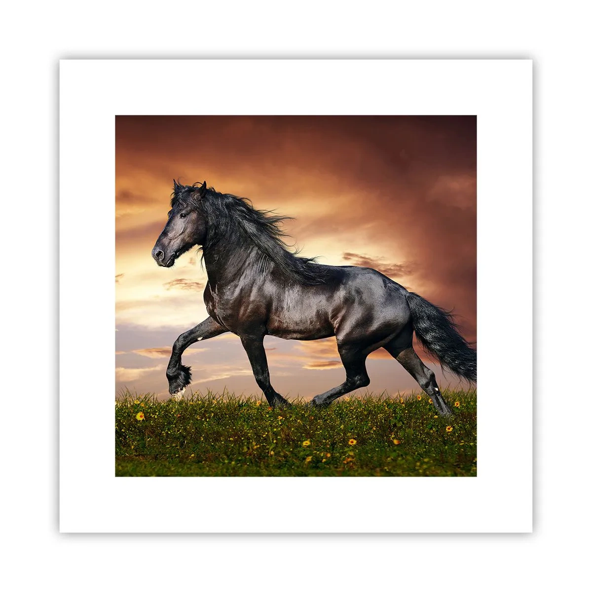Affiche - Poster - Livres noirs - 30x30 cm