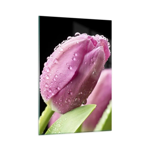 Impression sur verre - Image sur verre - Tulipe rose avec des gouttes d'eau sur fond noir - 80x120cm - Rêve de lilas dans la rosée - Décoration murale moderne pour le salon et la chambre ARTTOR