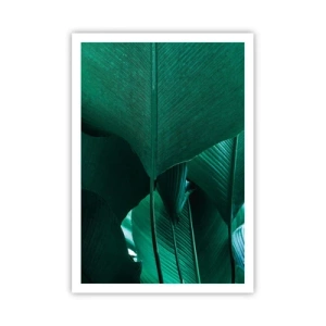 Affiche - Poster - Tourné vers la lumière - 70x100 cm