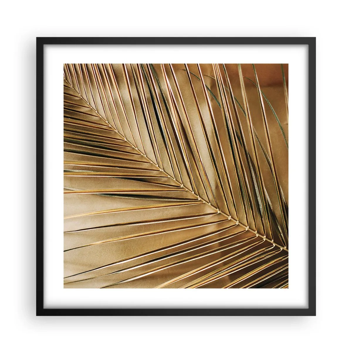 Affiche dans un cadre noir - Poster - Colonnade naturelle - 50x50 cm