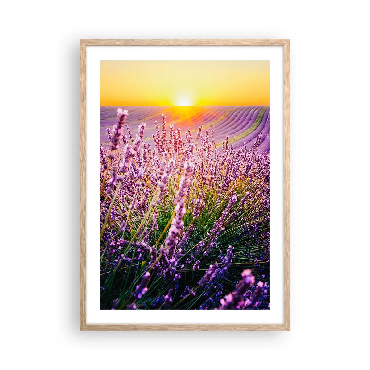 Affiche dans un chêne clair - Poster - Tige parfumée - 50x70 cm