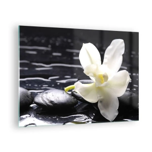 Impression sur verre - Image sur verre - Orchidée blanche sur pierres noires humides - 70x50cm - Étude en noir et blanc - Décoration murale moderne pour le salon et la chambre ARTTOR