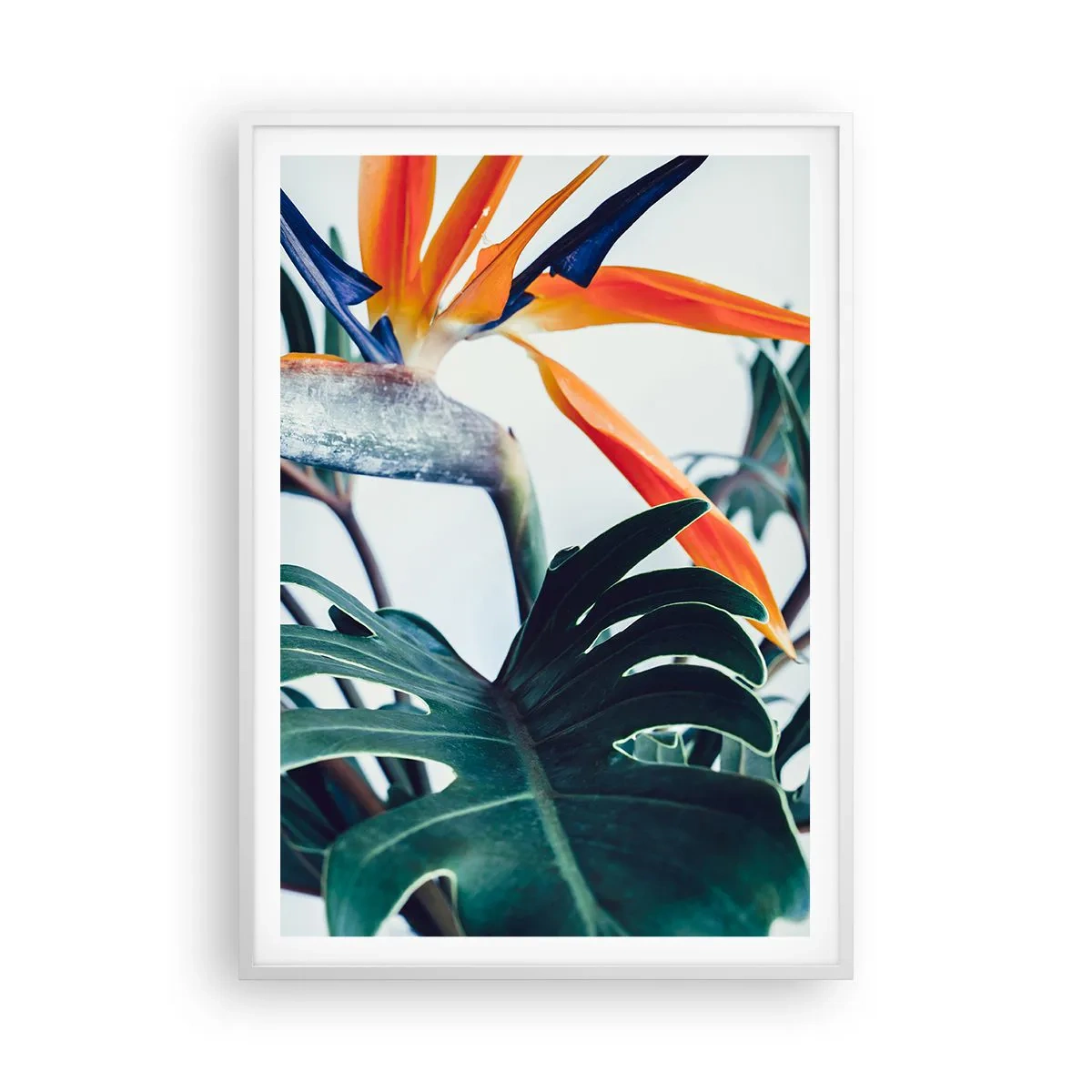 Affiche dans un cadre blanc - Poster - Le buisson oiseaux - 70x100 cm