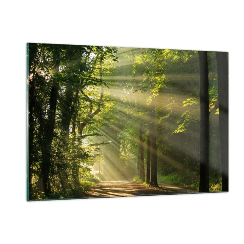 Impression sur verre - Image sur verre - Un chemin forestier illuminé par les rayons du soleil - 120x80cm - Moment de forêt - Décoration murale moderne pour le salon et la chambre ARTTOR