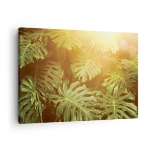 Impression sur toile - Image sur toile - Feuilles de Monstera au soleil sur fond naturel - 70x50cm - Se fondre dans la verdure - Décoration murale moderne pour le salon et la chambre ARTTOR