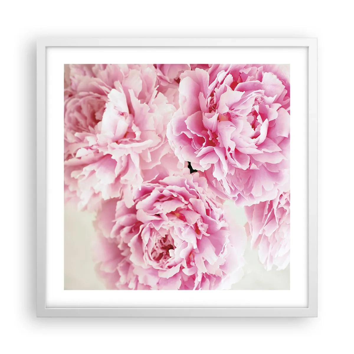 Affiche dans un cadre blanc - Poster - En glamour rose - 50x50 cm