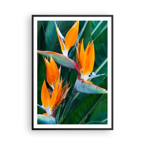 Affiche dans un cadre noir - Poster - Est-ce une fleur, est-ce un oiseaux? - 70x100 cm