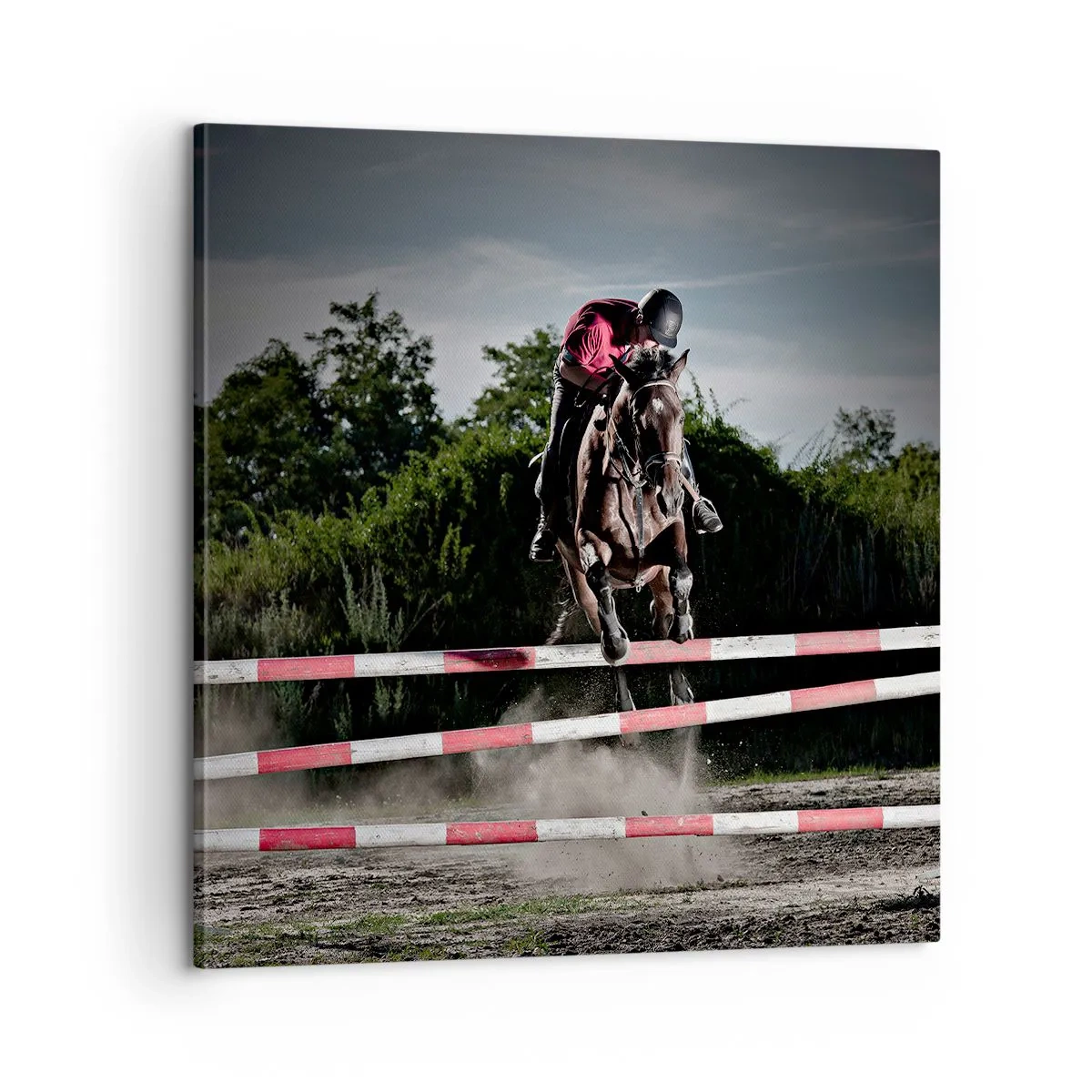 Impression sur toile - Image sur toile - Ensemble pour la victoire - 60x60 cm