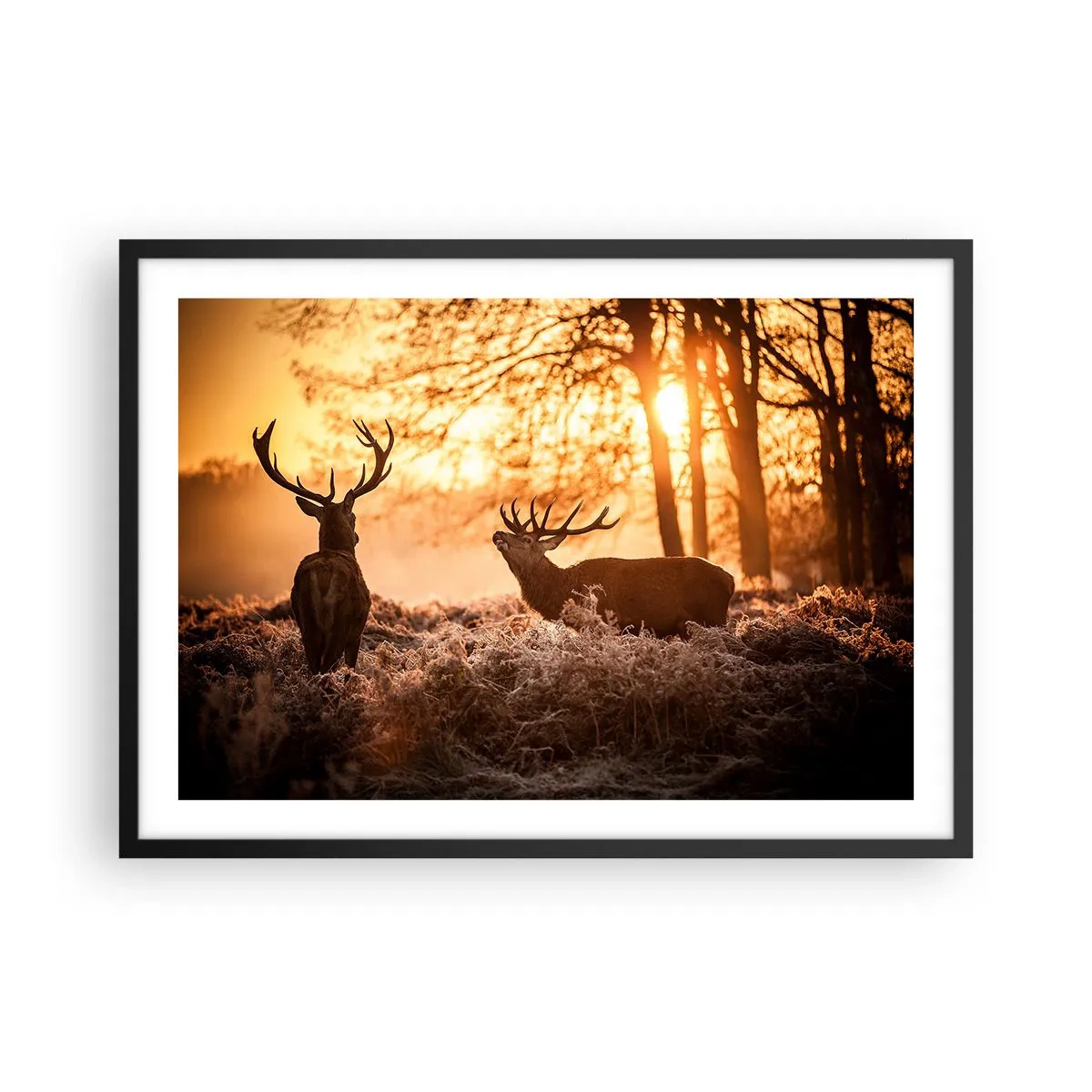 Affiche dans un cadre noir - Poster - Deux cerfs au coucher du soleil dans un paysage hivernal - 70x50cm - Le rêve d'un chasseur - Décoration murale moderne pour le salon et la chambre ARTTOR