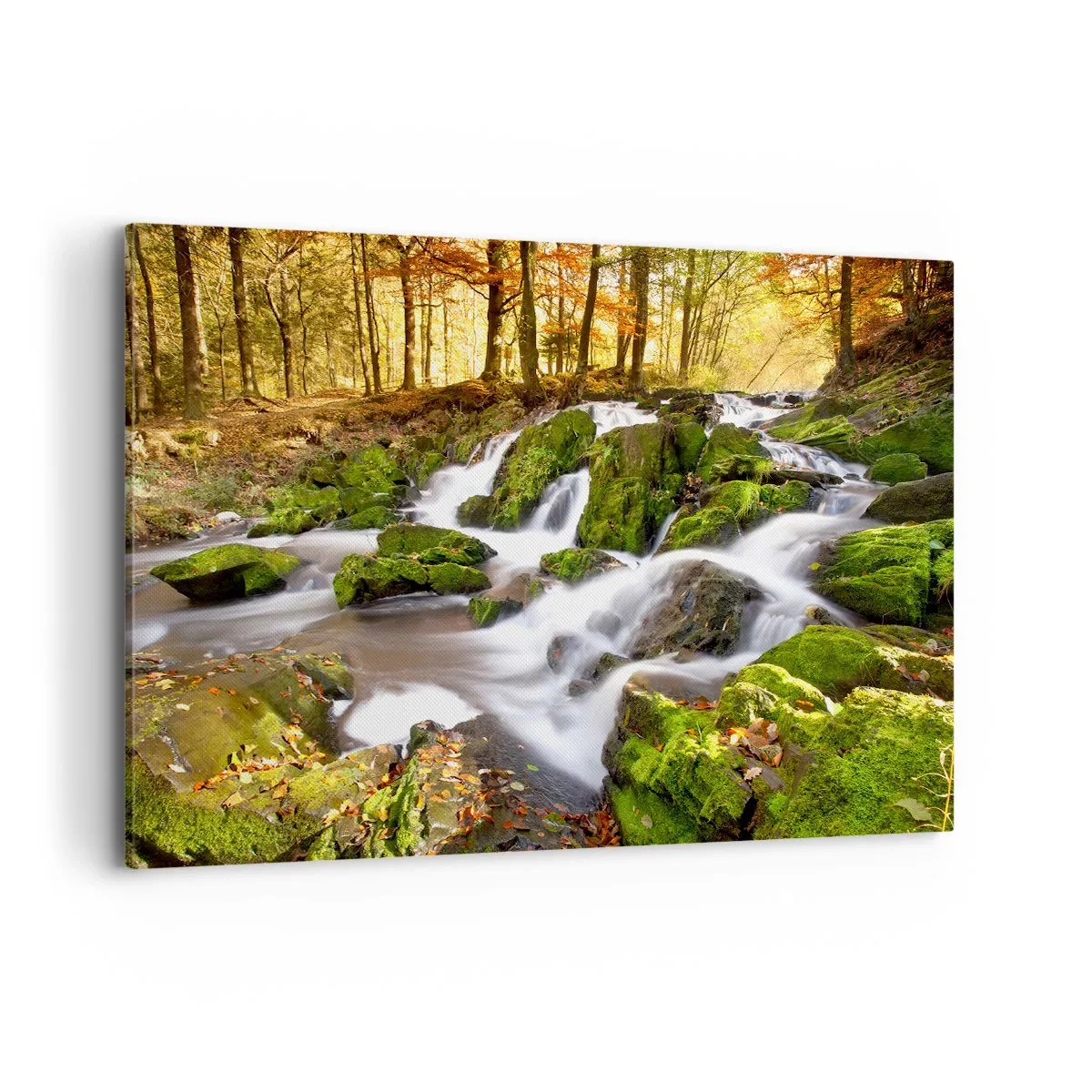 Impression sur toile - Image sur toile - Un paysage boisé avec une cascade entourée de mousse - 120x80cm - Rapidement à travers la forêt d'automne - Décoration murale moderne pour le salon et la chambre ARTTOR