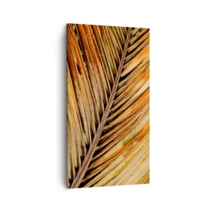 Impression sur toile - Image sur toile - Or de noix de coco - 45x80 cm