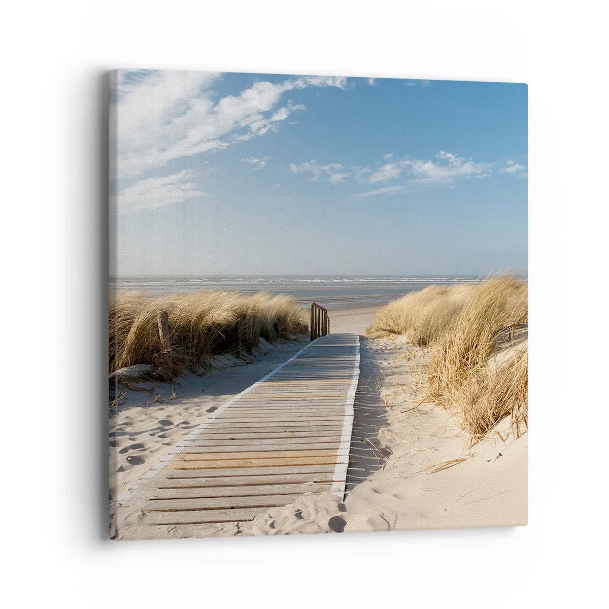 Impression sur toile - Image sur toile - Derrière la dune, dans le bruissement de l'herbe - 40x40 cm