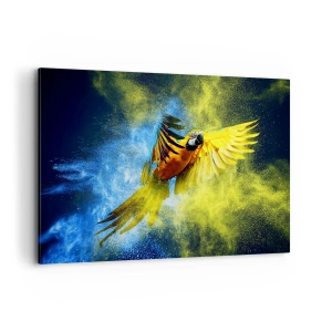 Impression sur toile - Image sur toile - Un perroquet en vol sur fond d'explosions colorées de jaune et de bleu. - 120x80cm - Dans la poussière bleue et dorée - Décoration murale moderne pour le salon et la chambre ARTTOR