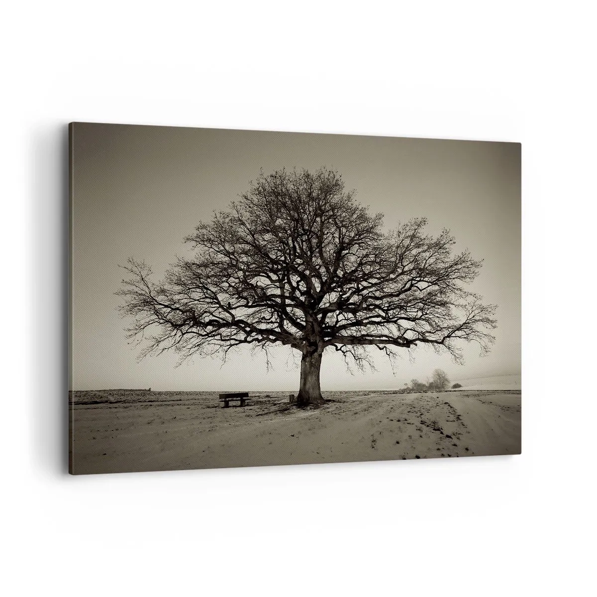 Impression sur toile - Image sur toile - Un arbre solitaire dans un champ de sépia - 100x70cm - D'ici à l'éternité - Décoration murale moderne pour le salon et la chambre ARTTOR