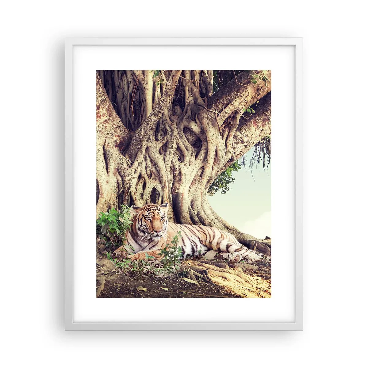 Affiche dans un cadre blanc - Poster - Vue du Livre de la Genèse - 40x50 cm