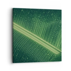 Impression sur toile - Image sur toile - Structure de vert - 40x40 cm