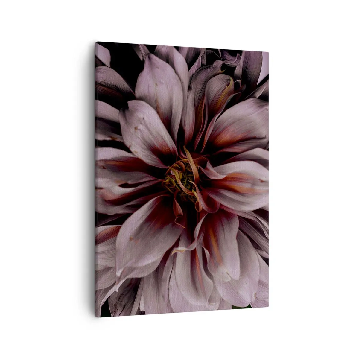 Impression sur toile - Image sur toile - Gros plan d'une grande fleur aux couleurs subtiles - 50x70cm - Un coeur fleuri - Décoration murale moderne pour le salon et la chambre ARTTOR