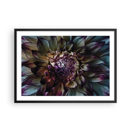 Affiche dans un cadre noir - Poster - Gros plan d'une fleur de dahlia dans des tons sombres - 70x50cm - L'apogée de la jeunesse - Décoration murale moderne pour le salon et la chambre ARTTOR