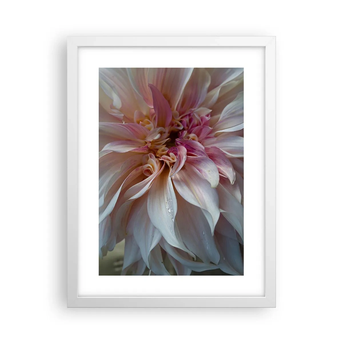 Affiche dans un cadre blanc - Poster - Fraîcheur fleurissante - 30x40 cm