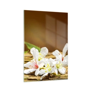 Impression sur verre - Image sur verre - Fleurs blanches sur fond de bois à la lumière naturelle - 70x100cm - Une promesse innocente - Décoration murale moderne pour le salon et la chambre ARTTOR