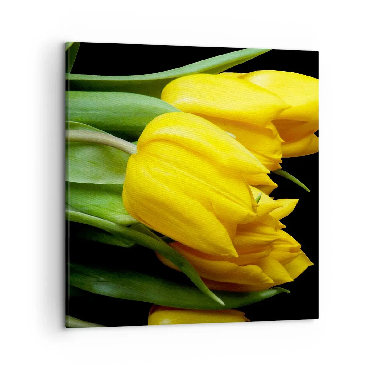 Impression sur toile - Image sur toile - Lever de soleil pur - 50x50 cm