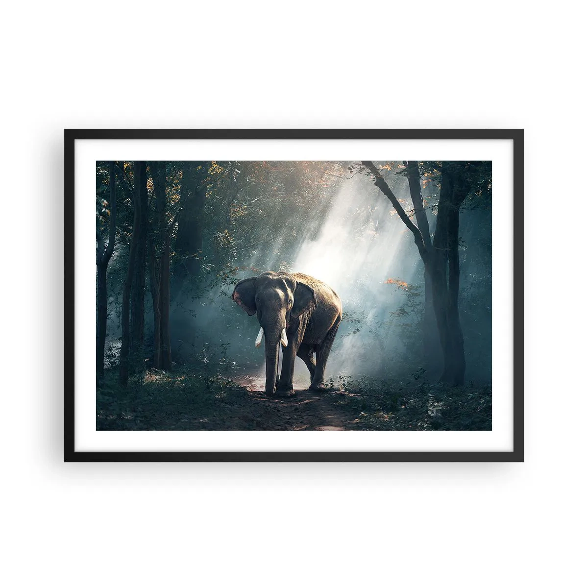 Affiche dans un cadre noir - Poster - Éléphant dans la lumière de la forêt - 70x50cm - Une balade tranquille - Décoration murale moderne pour le salon et la chambre ARTTOR
