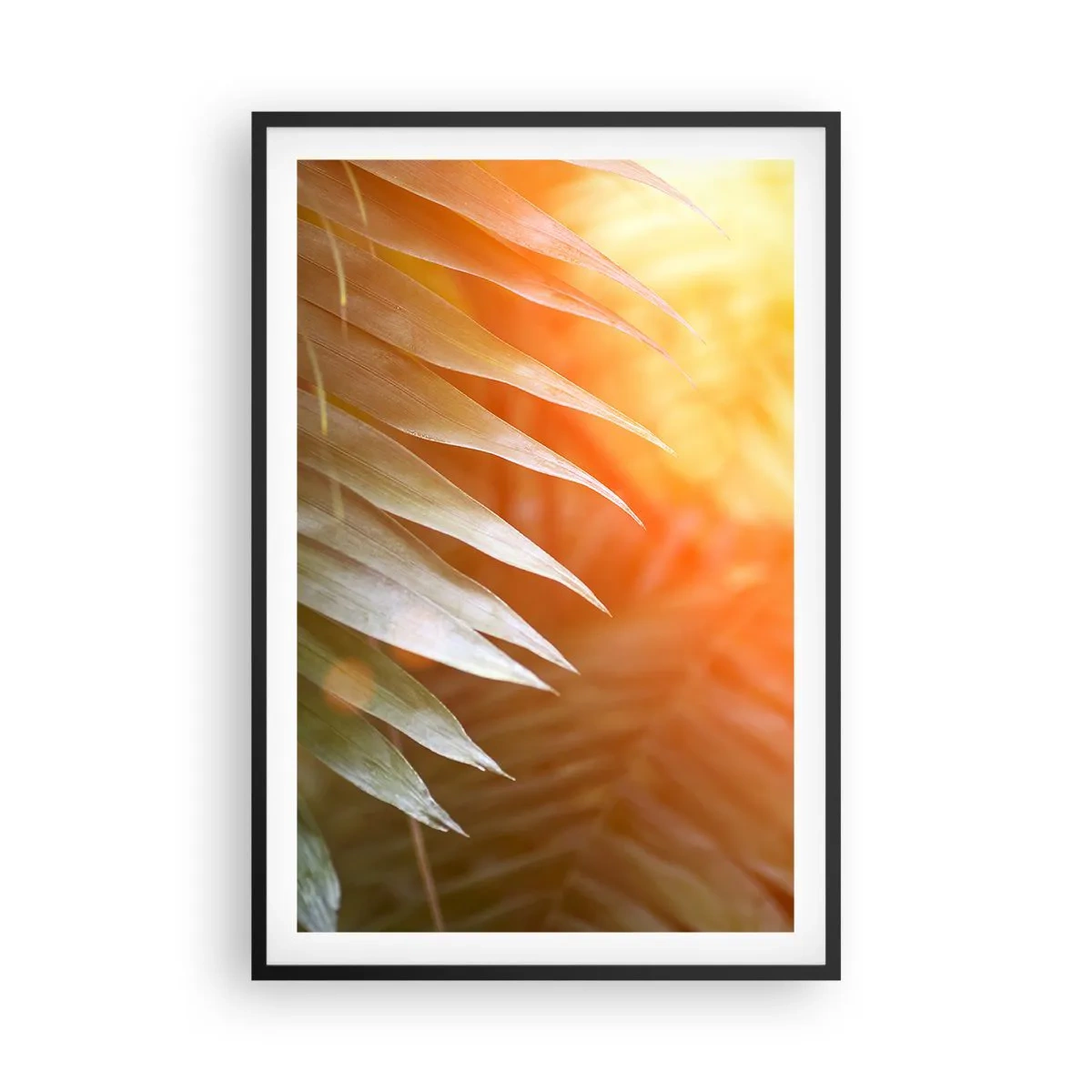 Affiche dans un cadre noir - Poster - Matinée dans la jungle - 61x91 cm