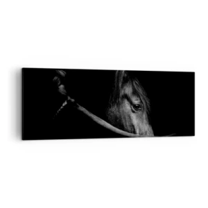 Impression sur toile - Image sur toile - Portrait en noir et blanc d'un cheval avec un jeu subtil de lumière et d'ombre sur un fond sombre. - 140x50cm - Prince Noir - Décoration murale moderne pour le salon et la chambre ARTTOR