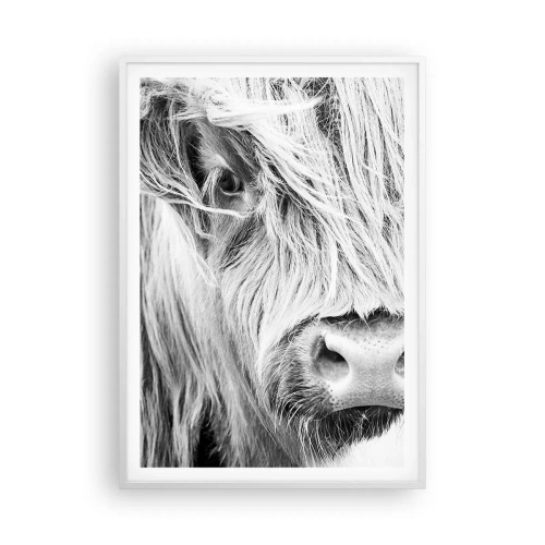 Affiche dans un cadre blanc - Poster - Sauvagerie écossaise - 70x100 cm